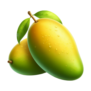 Konkan mango orchard